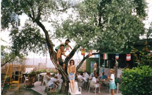 l'albero della felicità     